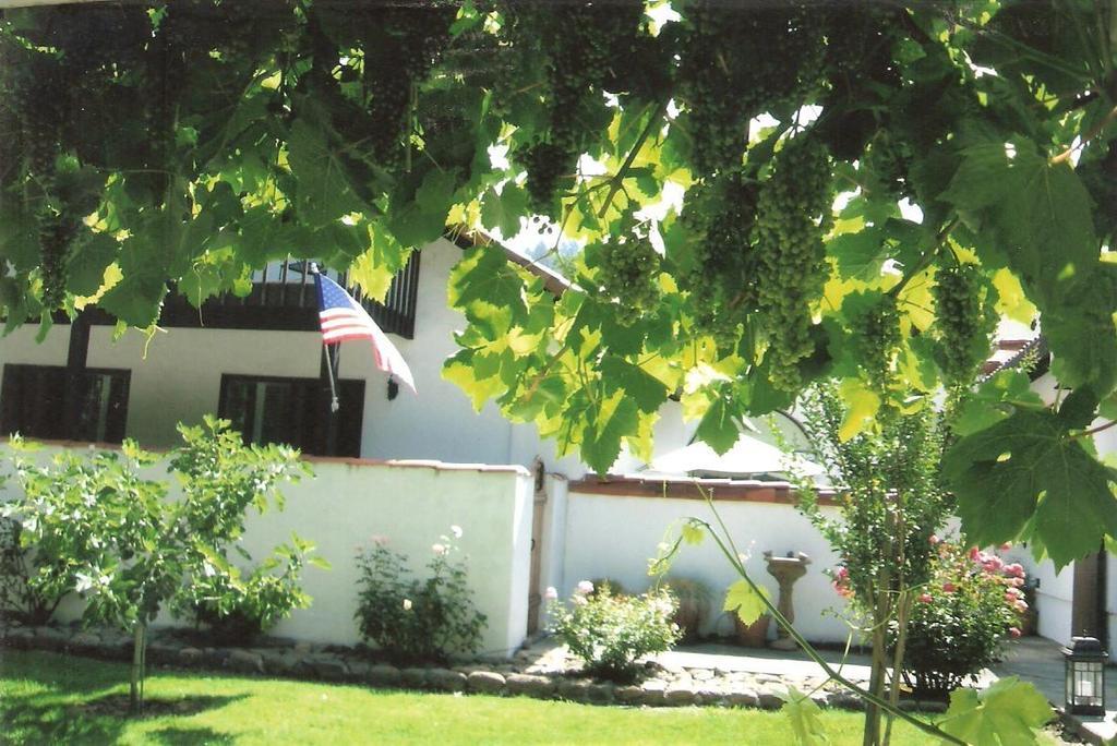 Spanish Villa Inn Сент-Гелена Екстер'єр фото